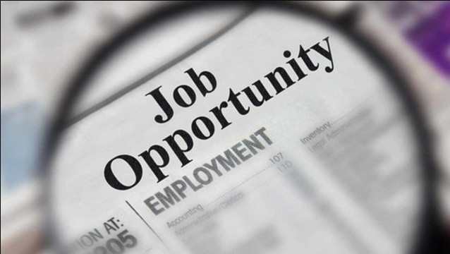Job Offers For Undergraduates in Abuja, Nigeria